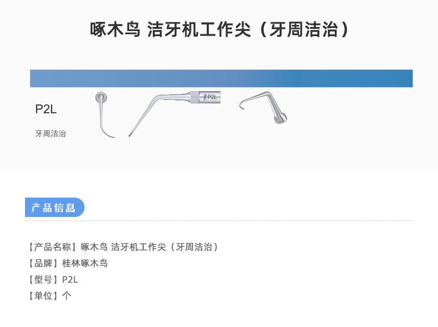 工作尖P2L.jpg