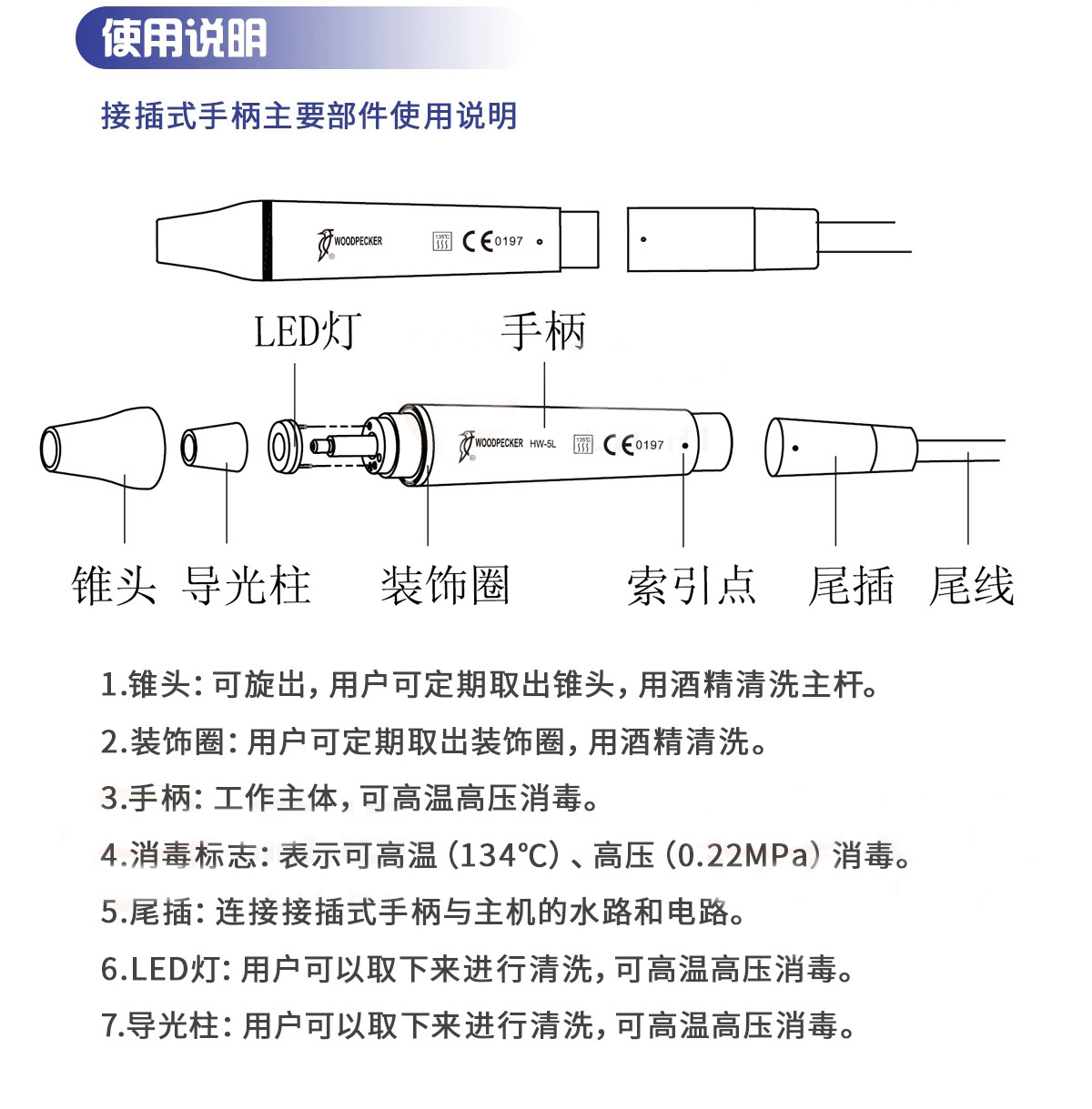 图层 81.jpg