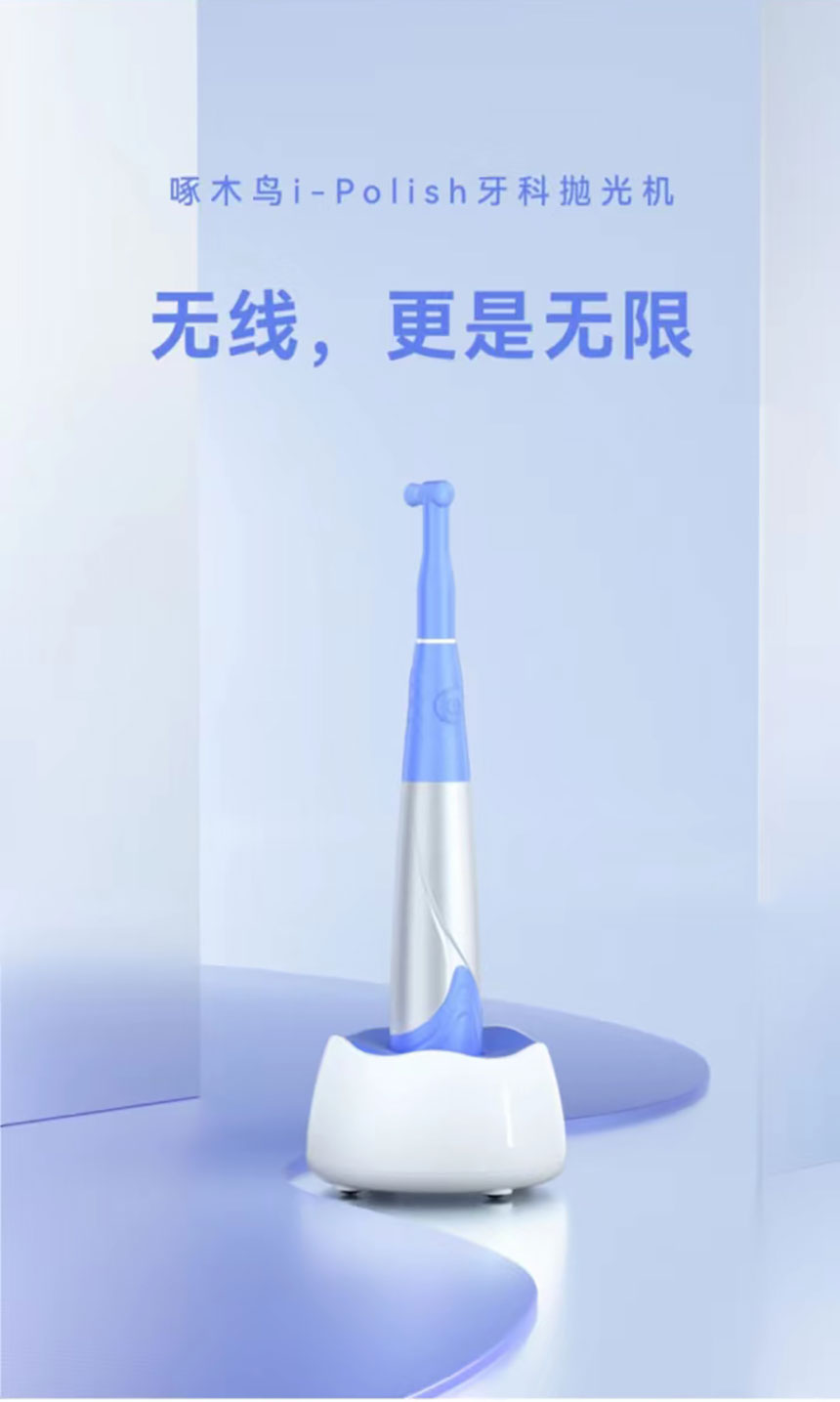 cc228f8a-a015-4103-a57a-30c5df93c062_02.jpg